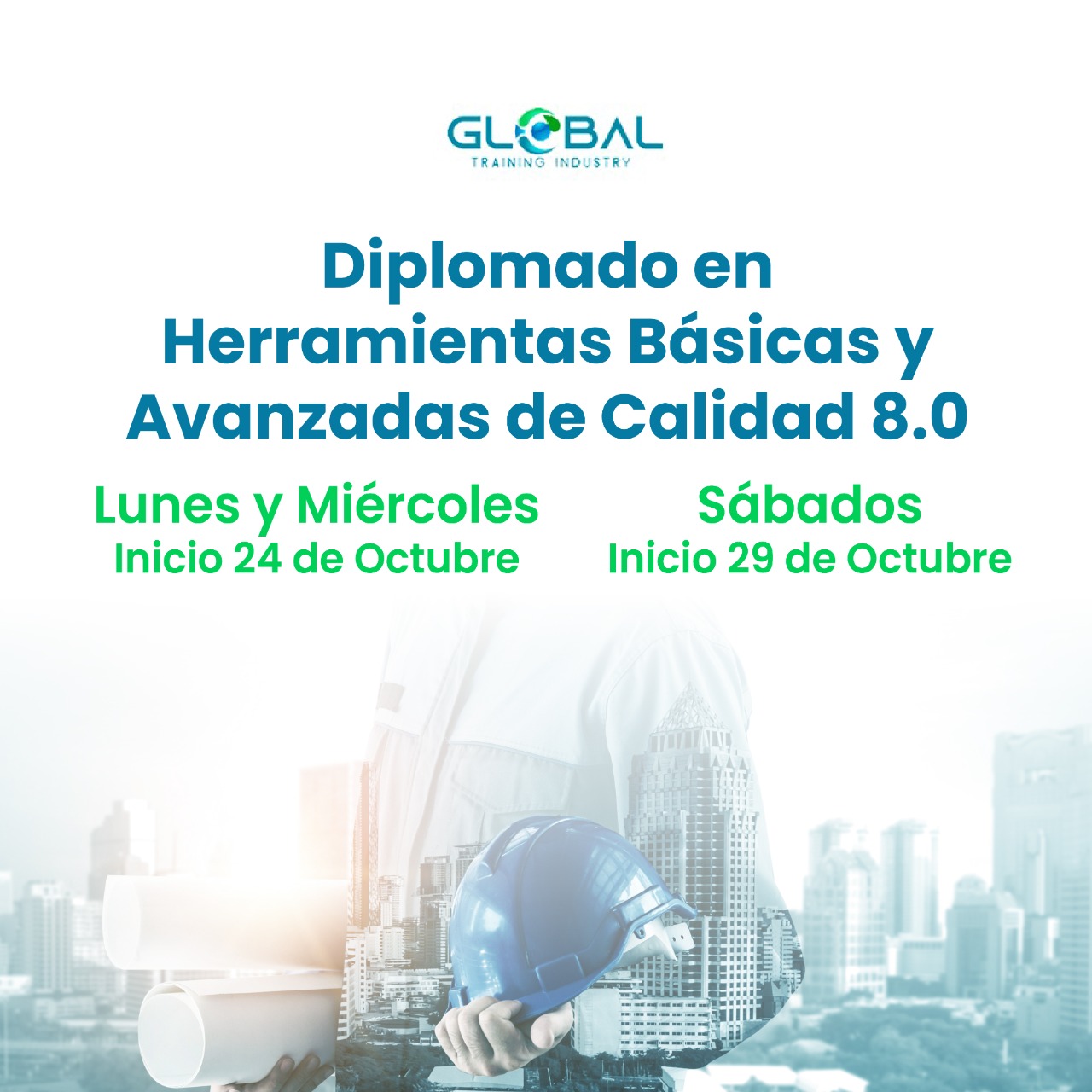 Herramientas Básicas y Avanzadas de la calidad (Paquete Plat)